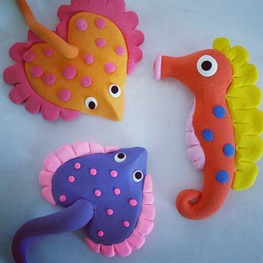 13619978_1136077976456414_3946420346459935987_n